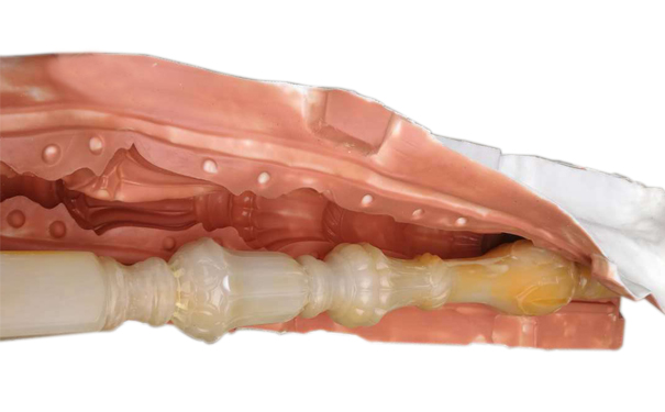 仿玉樓梯圍欄耐高溫模具硅膠實(shí)例-廣西桂林建材裝飾廠(chǎng)